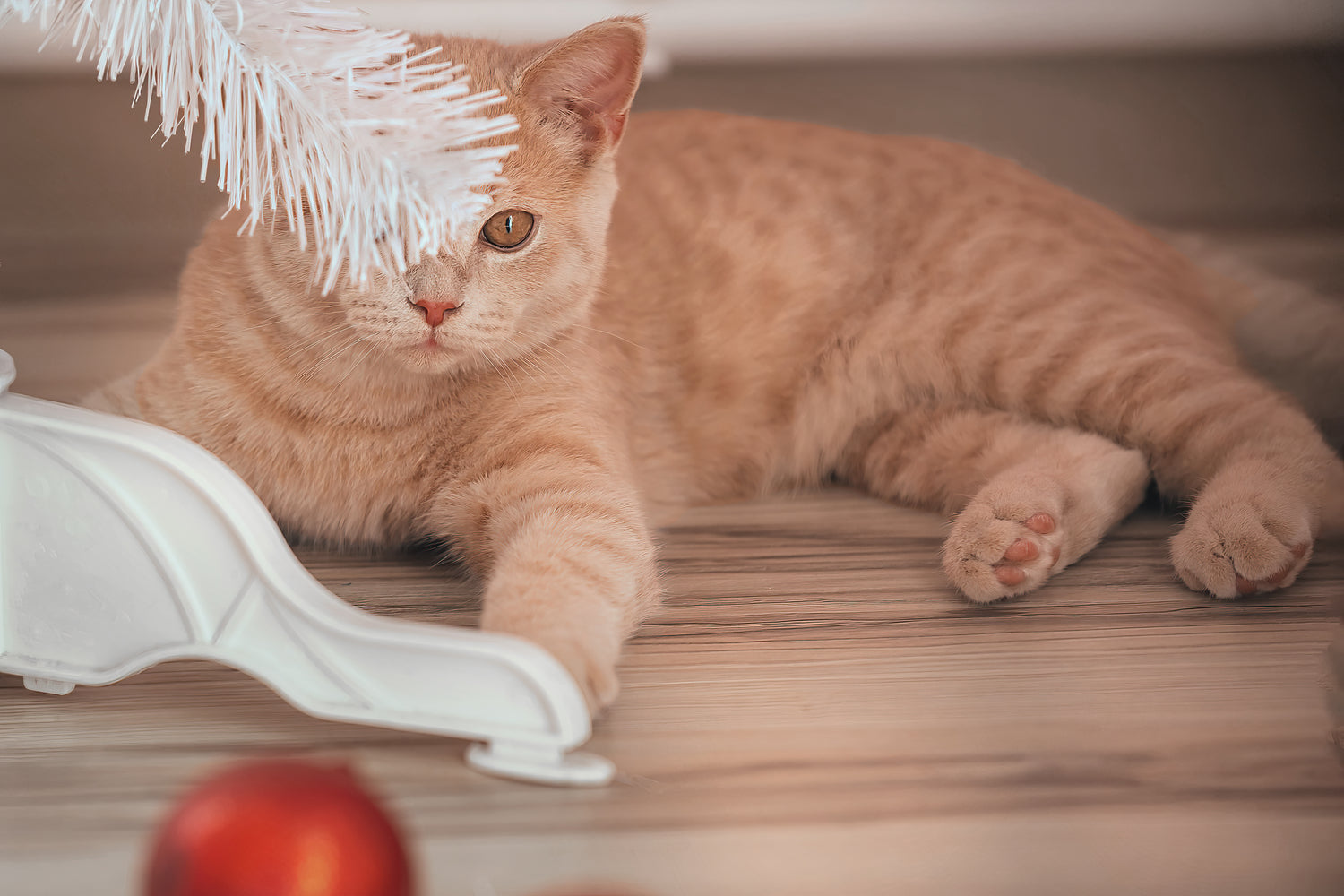 Leer hoe je jouw kat actief en gelukkig kunt houden, zelfs als je er niet bent. Bij Katdeal vind je een breed scala aan kattenspeeltjes, zoals Kongs, interactieve speeltjes en automatische speeltjes, die je kat uitdagen om te spelen en te jagen.