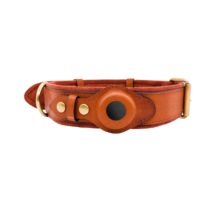 Luxury Leather Dog Collar with AirTag (GPS Tracker for Dogs)
