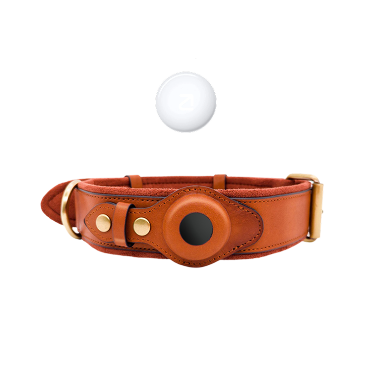 Luxury Leather Dog Collar with AirTag (GPS Tracker for Dogs)