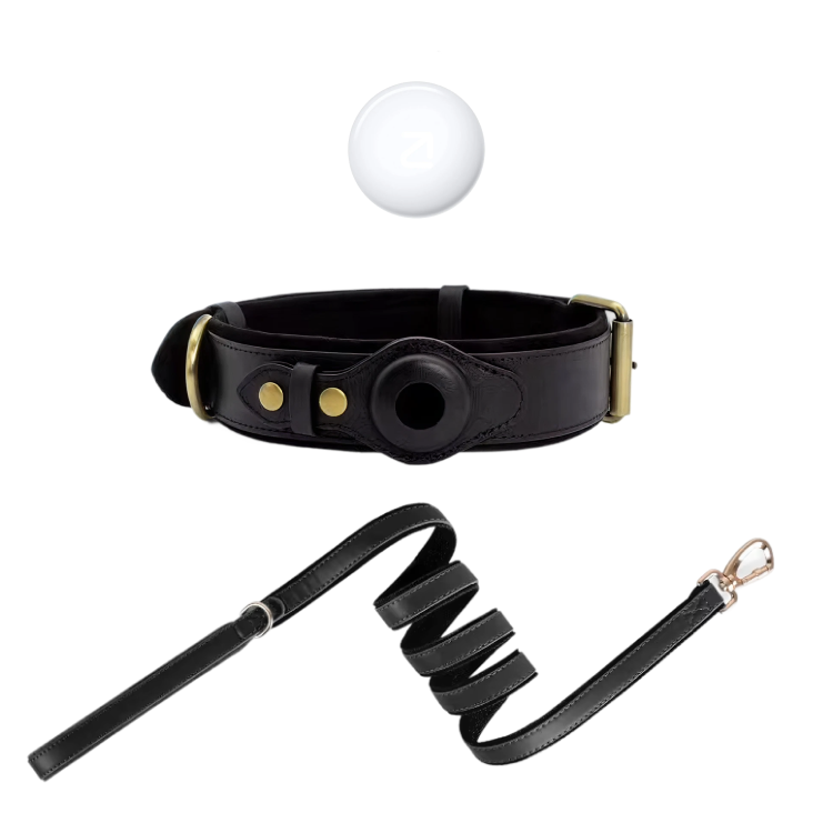 Luxury Leather Dog Collar with AirTag (GPS Tracker for Dogs)