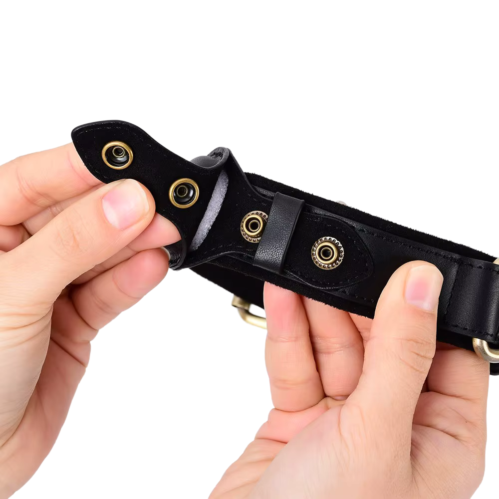 Luxury Leather Dog Collar with AirTag (GPS Tracker for Dogs)
